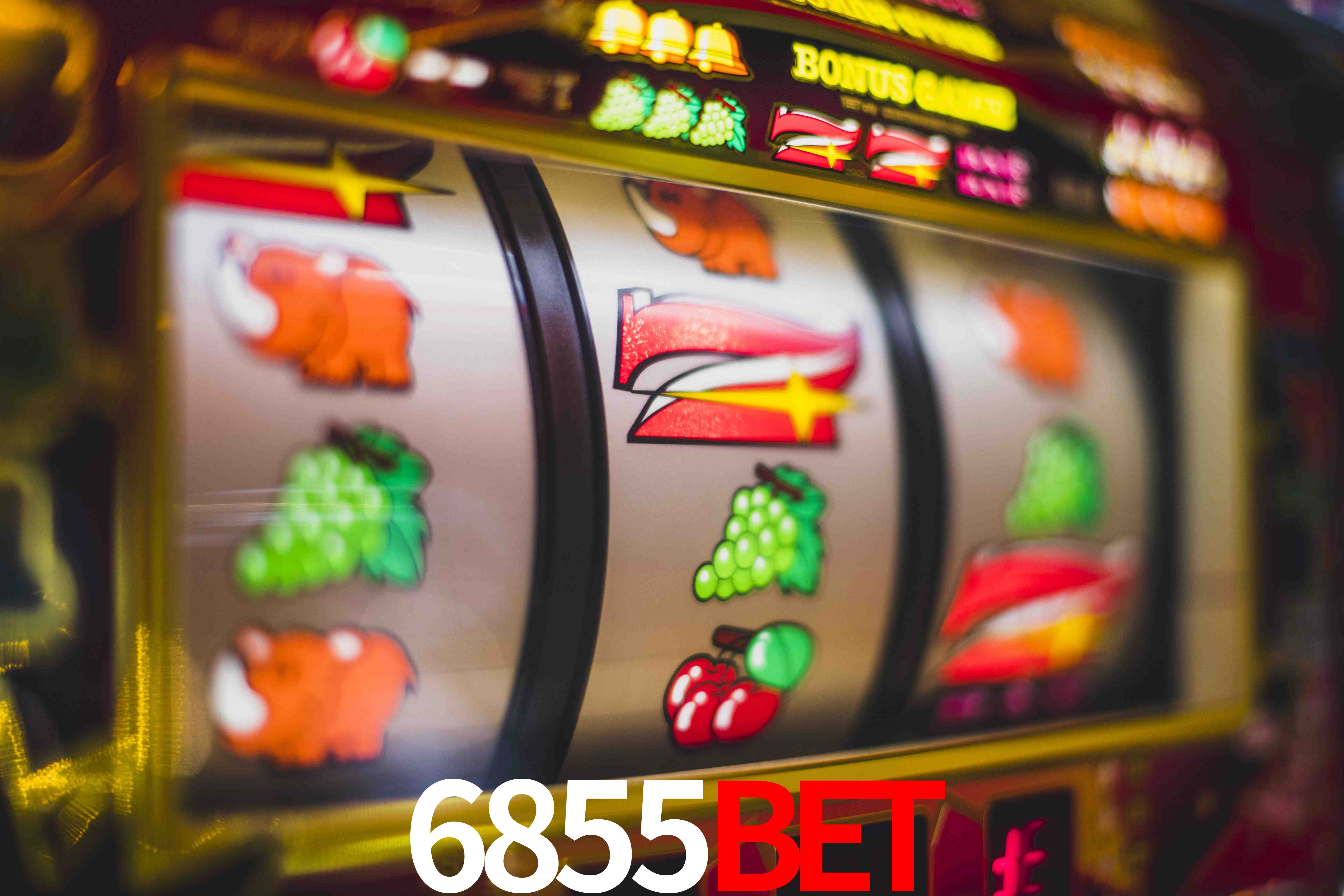 Sports Statistics 6855bet